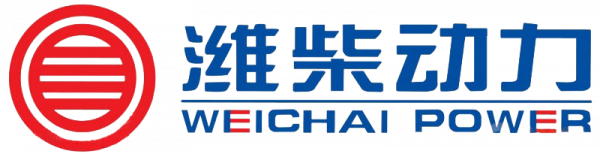 ДВИГАТЕЛЬ В СБОРЕ Weichai WP12.375E40